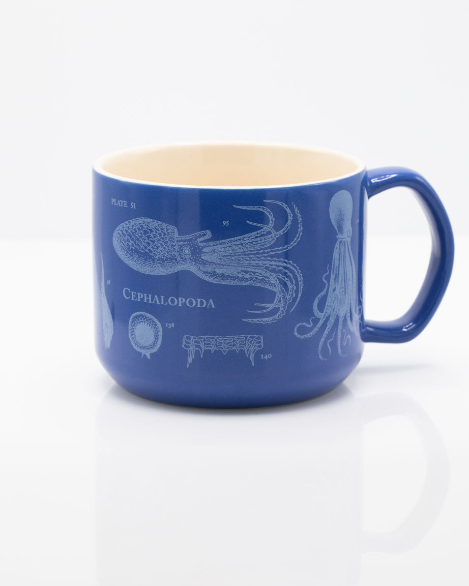 The Hidden Octopus Cup: Coffee cup with a cephalopod