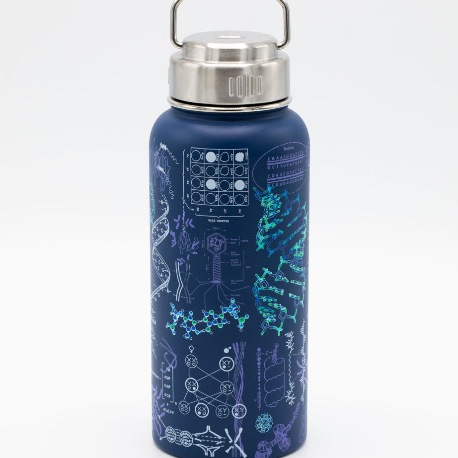 950 mL Insulated Drink Bottles