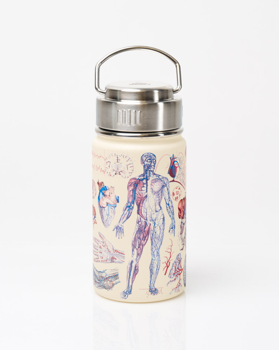 Human Anatomy 350 mL Steel Bottle