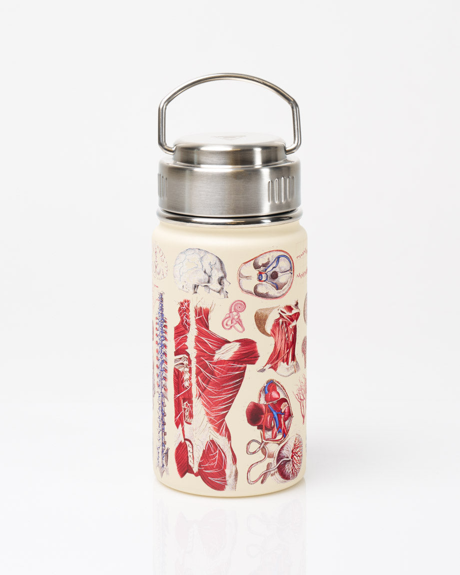 Human Anatomy 350 mL Steel Bottle